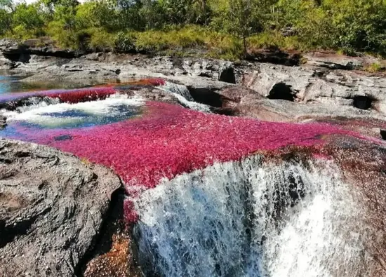 Caño Cristales